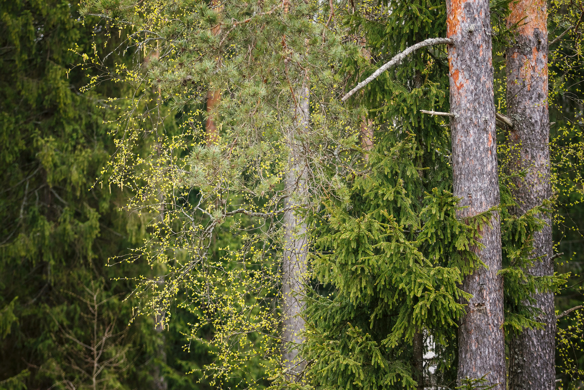 Фото Владимира Чучадеева.