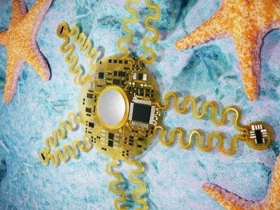    Новый датчик мониторинга сердца вдохновлён морской звездой