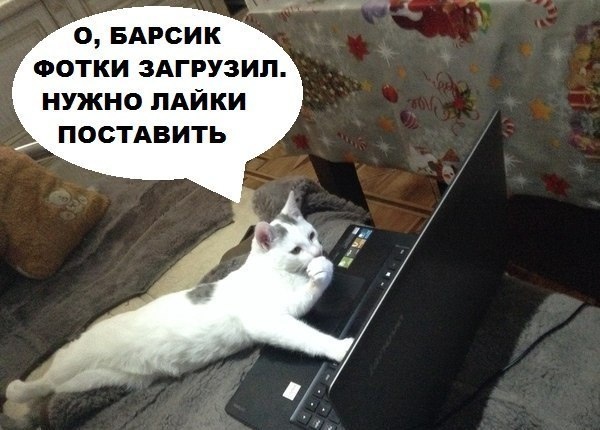 Фото с открытых источников.