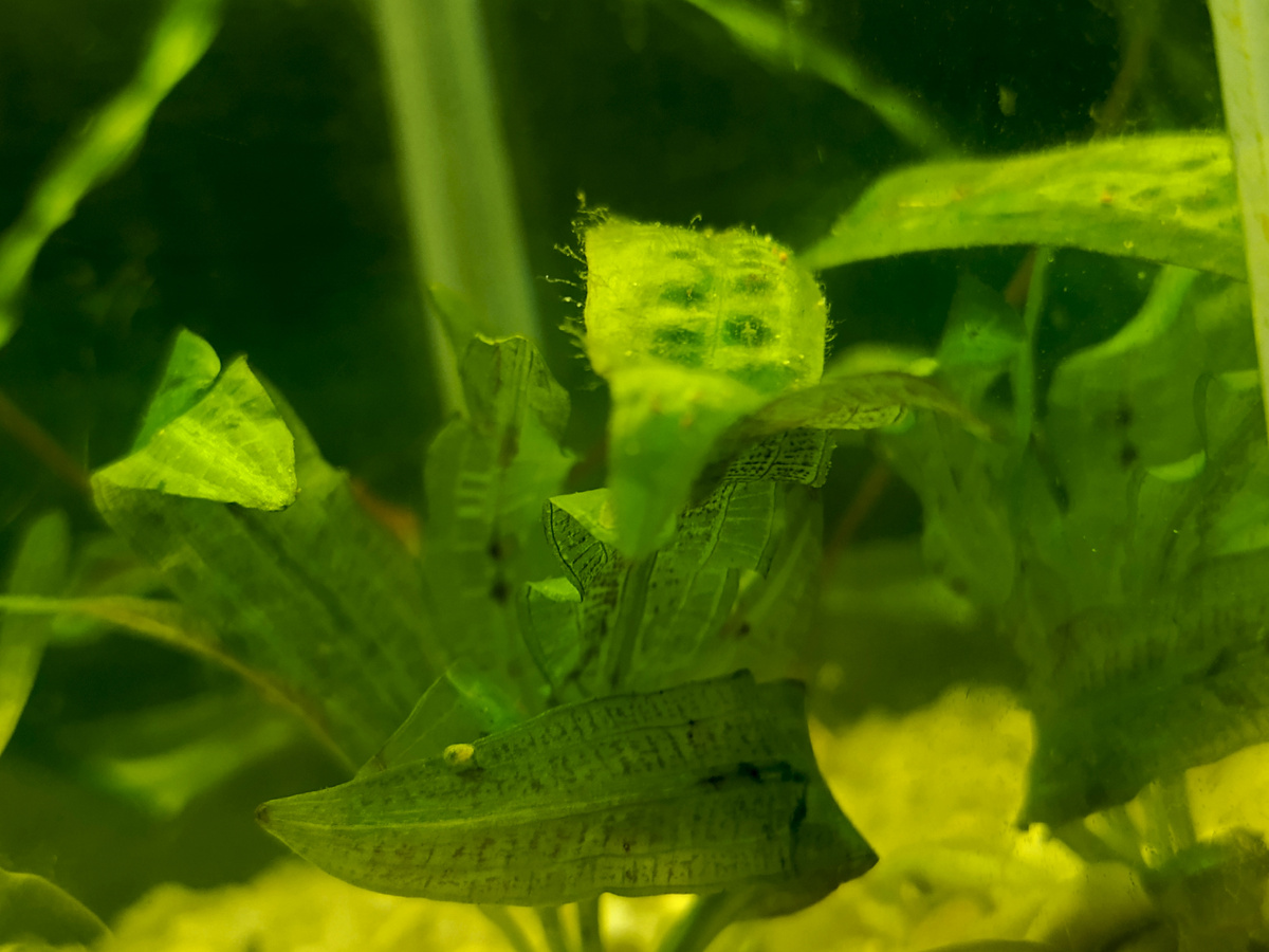 🫣 первые проблемы...