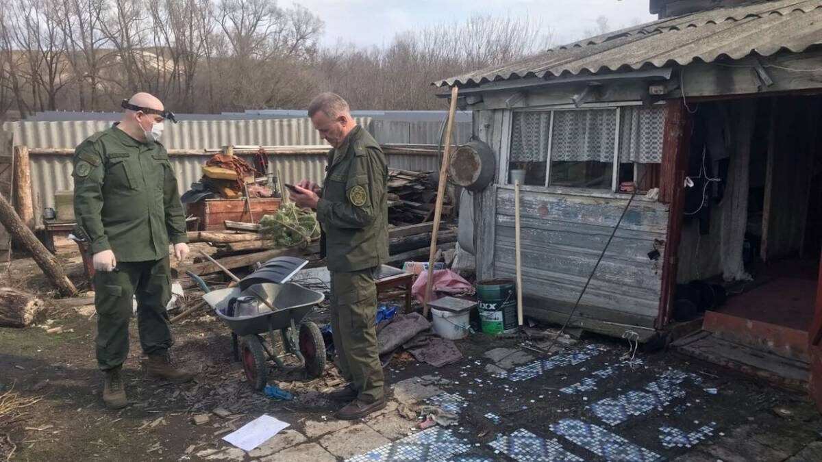    Фото: Telegram / СУ СКР по Ульяновской области