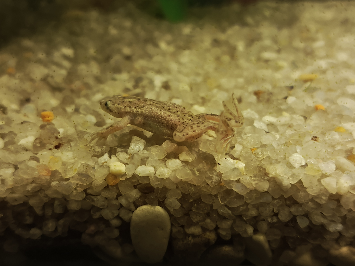 Кварцевый песок, заказанный с ВБ