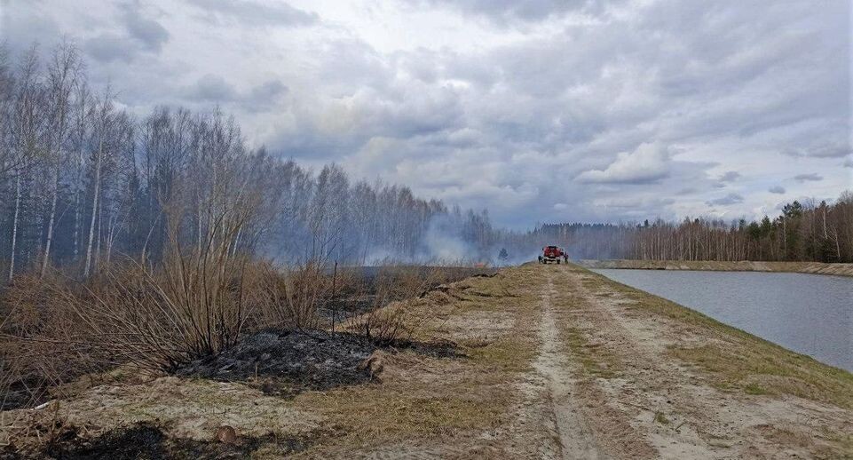    Комитет лесного хозяйства Московской области