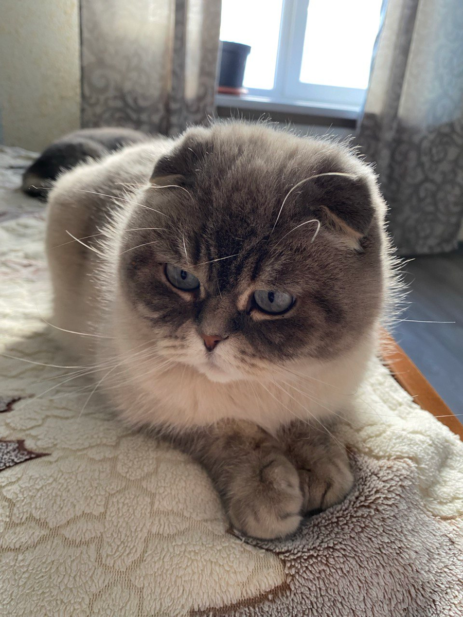 Кевин Фадеев