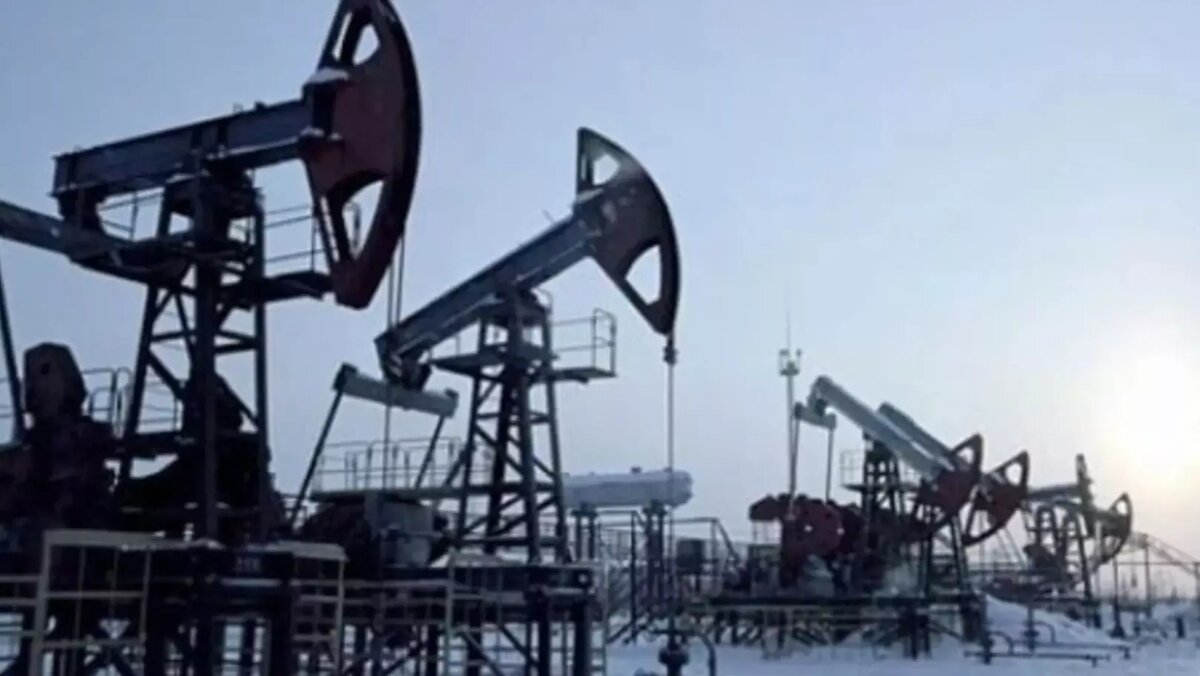 На мировые цены на нефть давит и США, и ОПЕК+. Источник: technoblog.ru