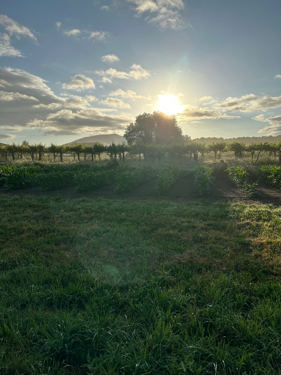 И снова рассвет в пути