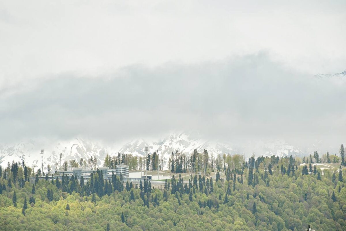    Фото: Telegram/Сочи Официальный