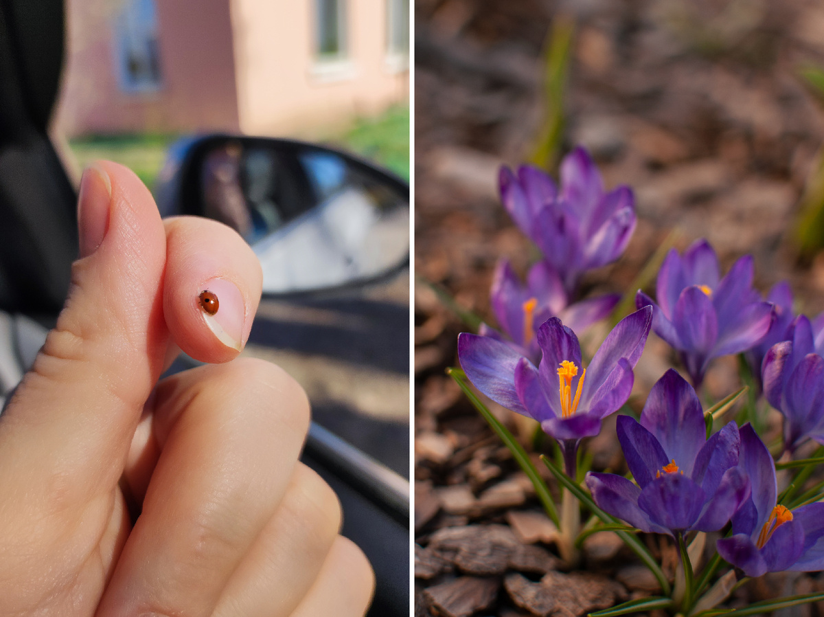 Личное фото