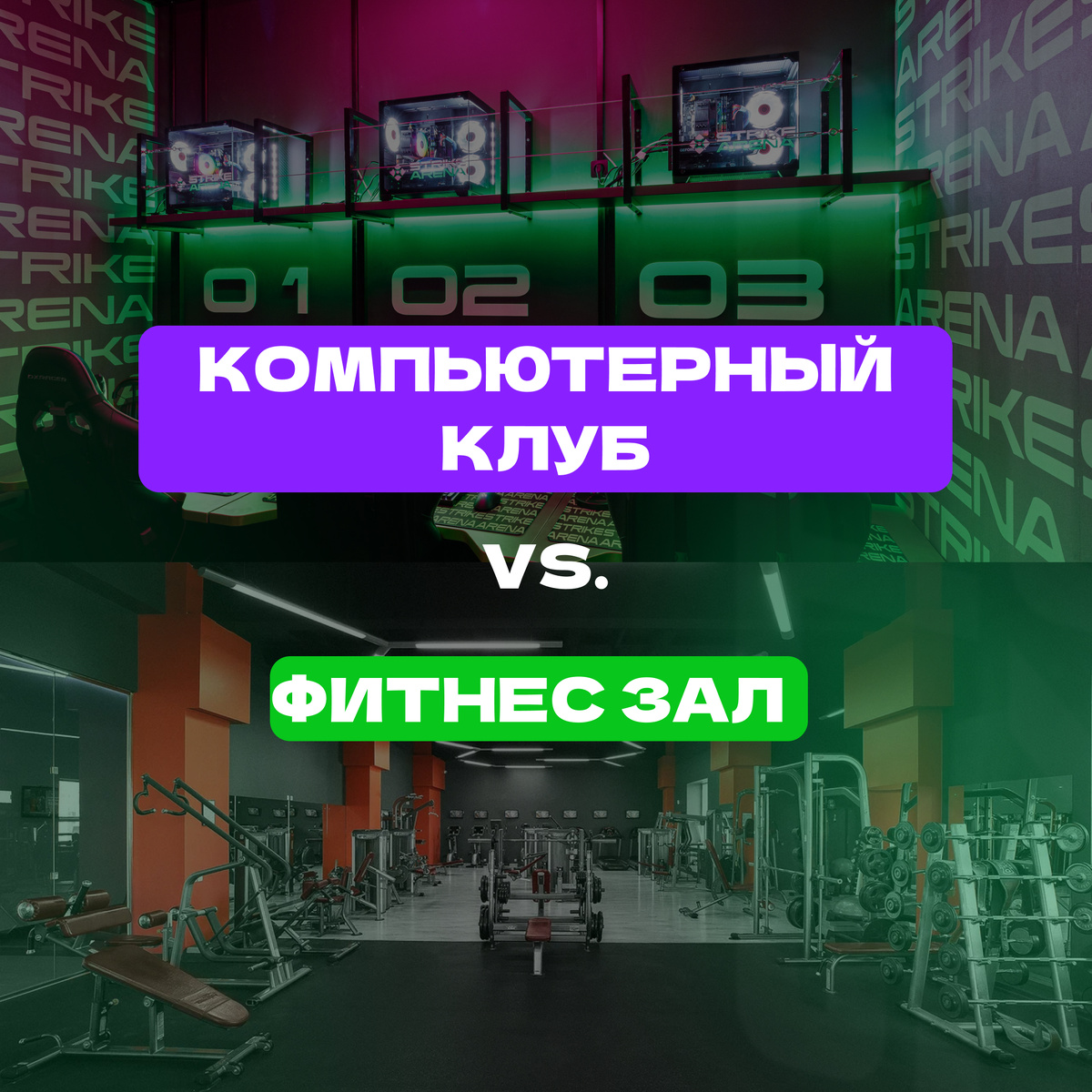 Сравниваем два популярных направления