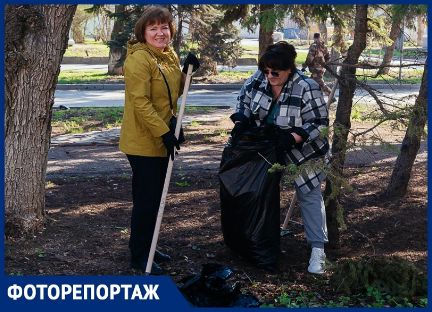От уборки улиц до посадки деревьев: как Волгодонск встречает весну