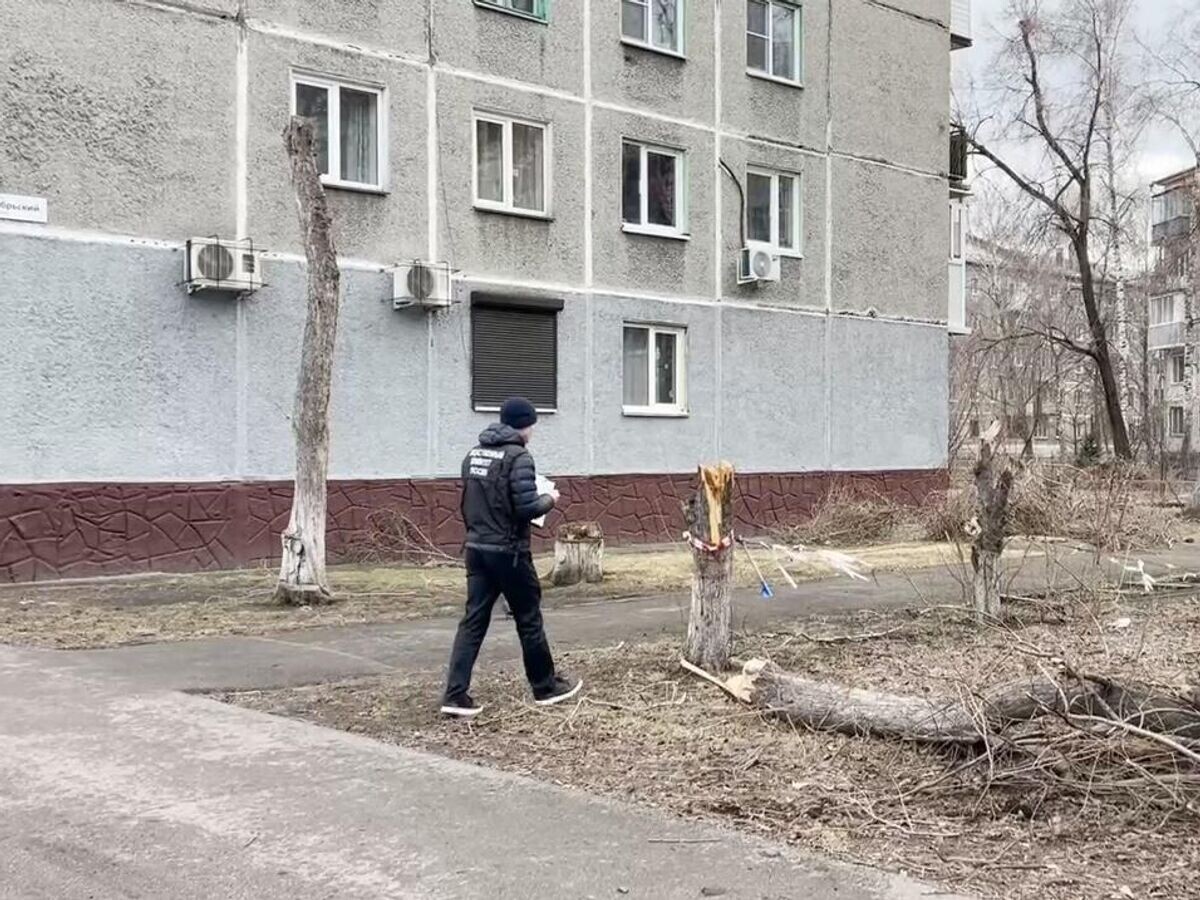    Работа СК РФ на месте падения дерева на жителя города Новокузнецка © Следком Кузбасса/Telegram