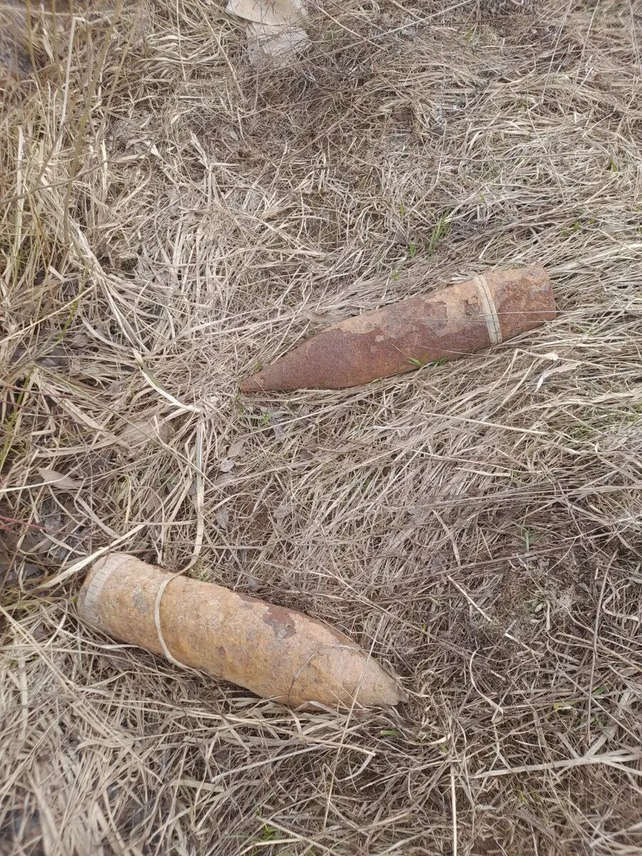    Фото: пресс-служба ГУ Росгвардии по Петербургу и Ленобласти