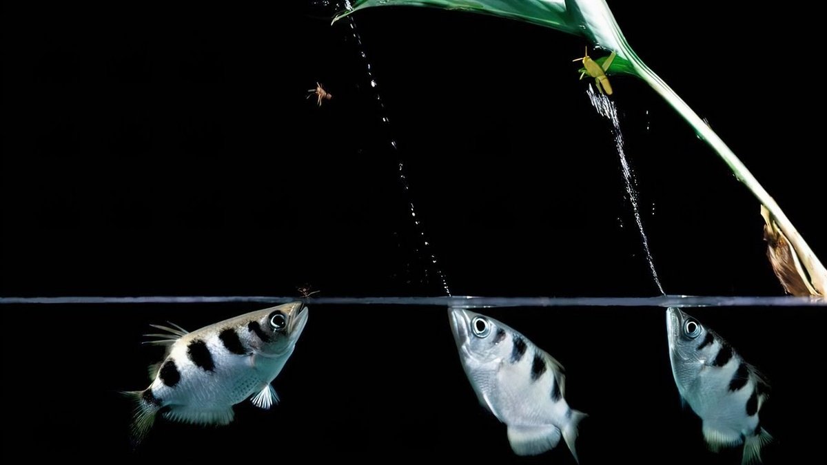 Фото взято из открытого источника Яндекс Картинки.