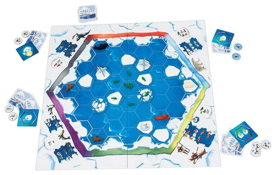 поле "Арктики"