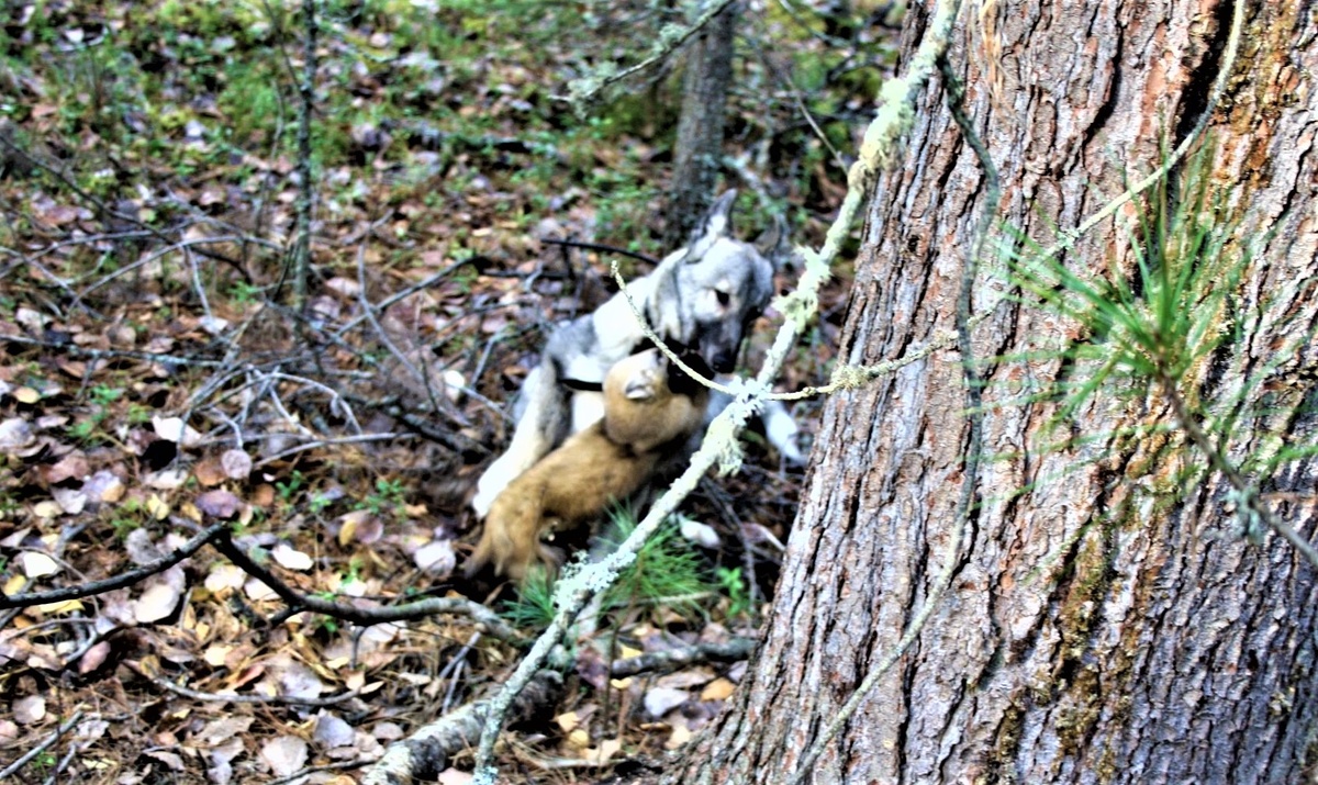 Первая встреча!