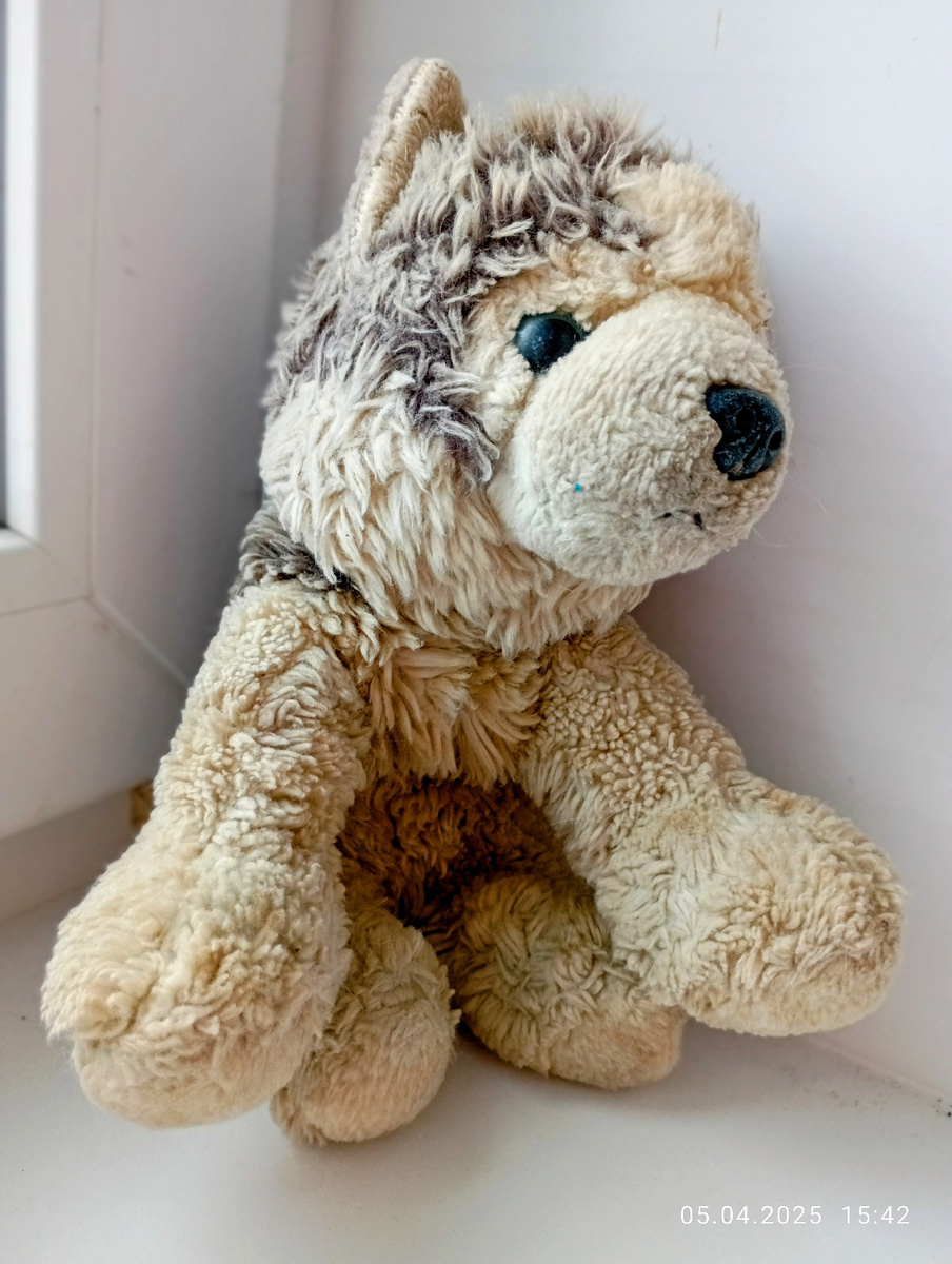 Балто, наш друг))