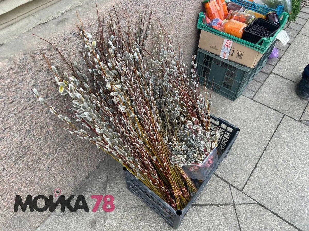    Фото: Мойка78