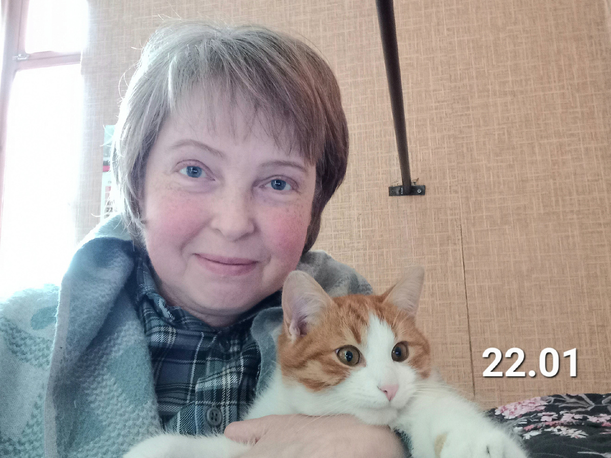 2024 год. Сейчас у нас другой кот, брат нашего рыжего. Этого котика а нас забрали его хозяева.