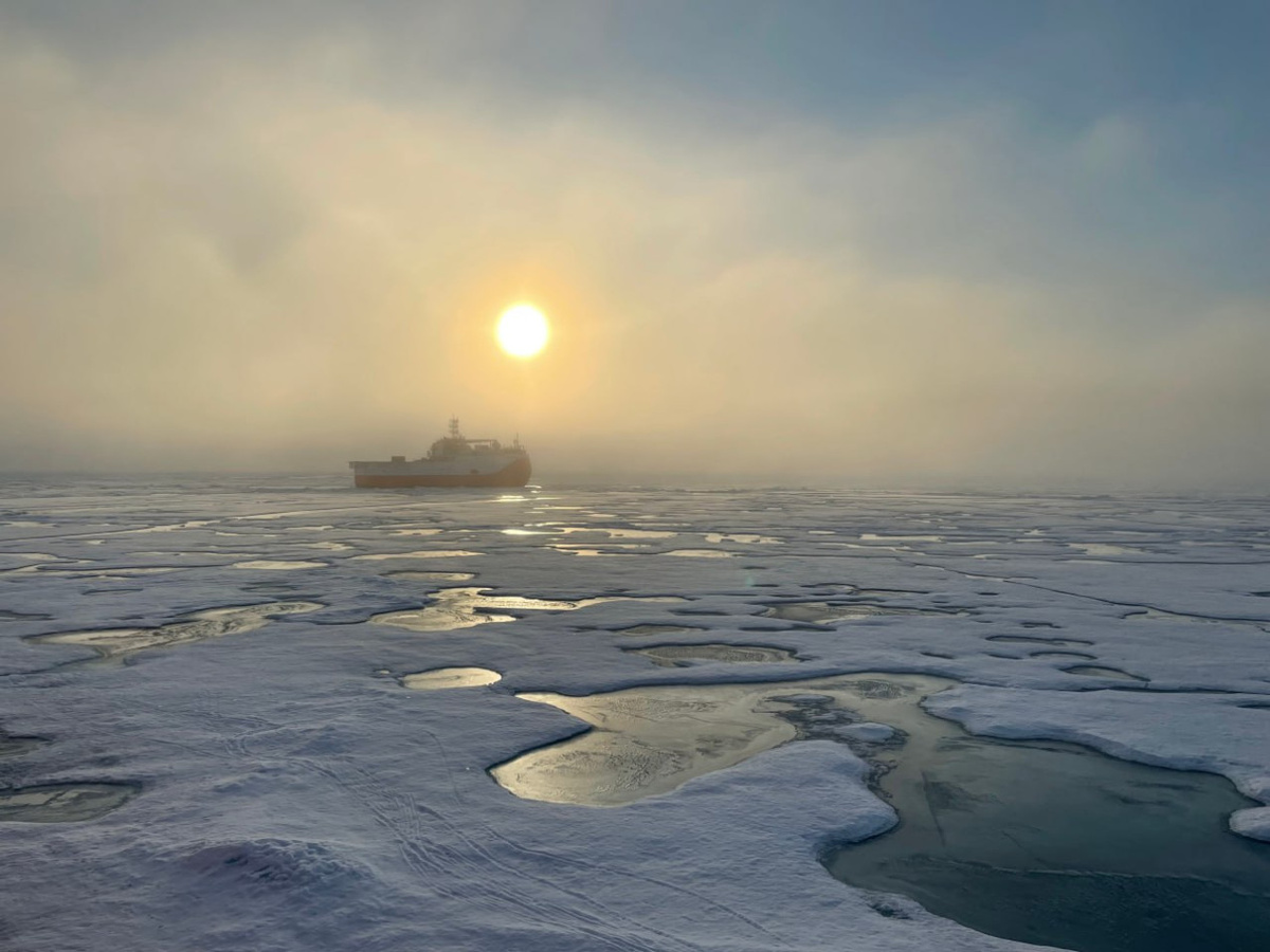 Не ледокол, но — ледостойкая платформа. Фото: пресс-служба ААНИИ