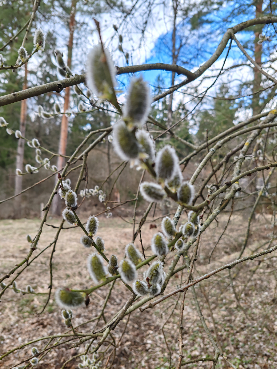 Это было вчера))) 