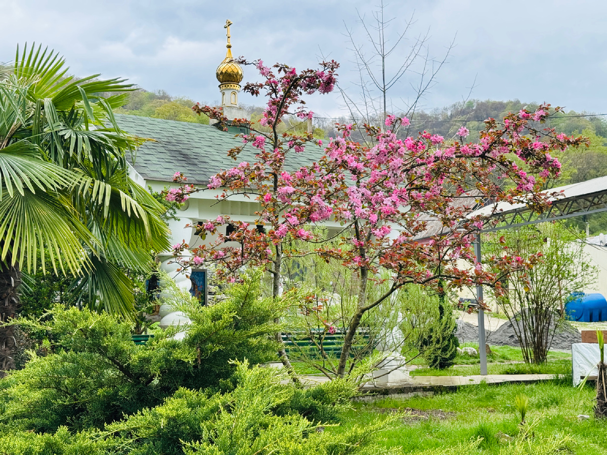 Фото автора 