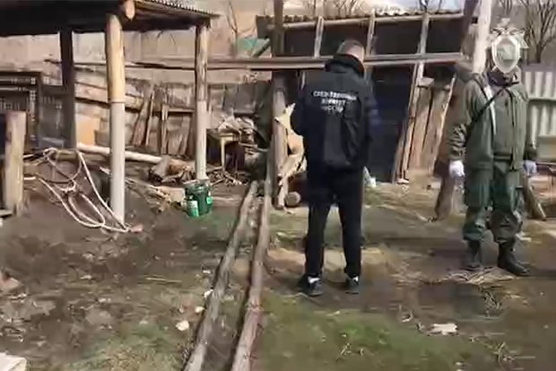 Кадр: Телеграм-канал СУ СКР по Ульяновской области

