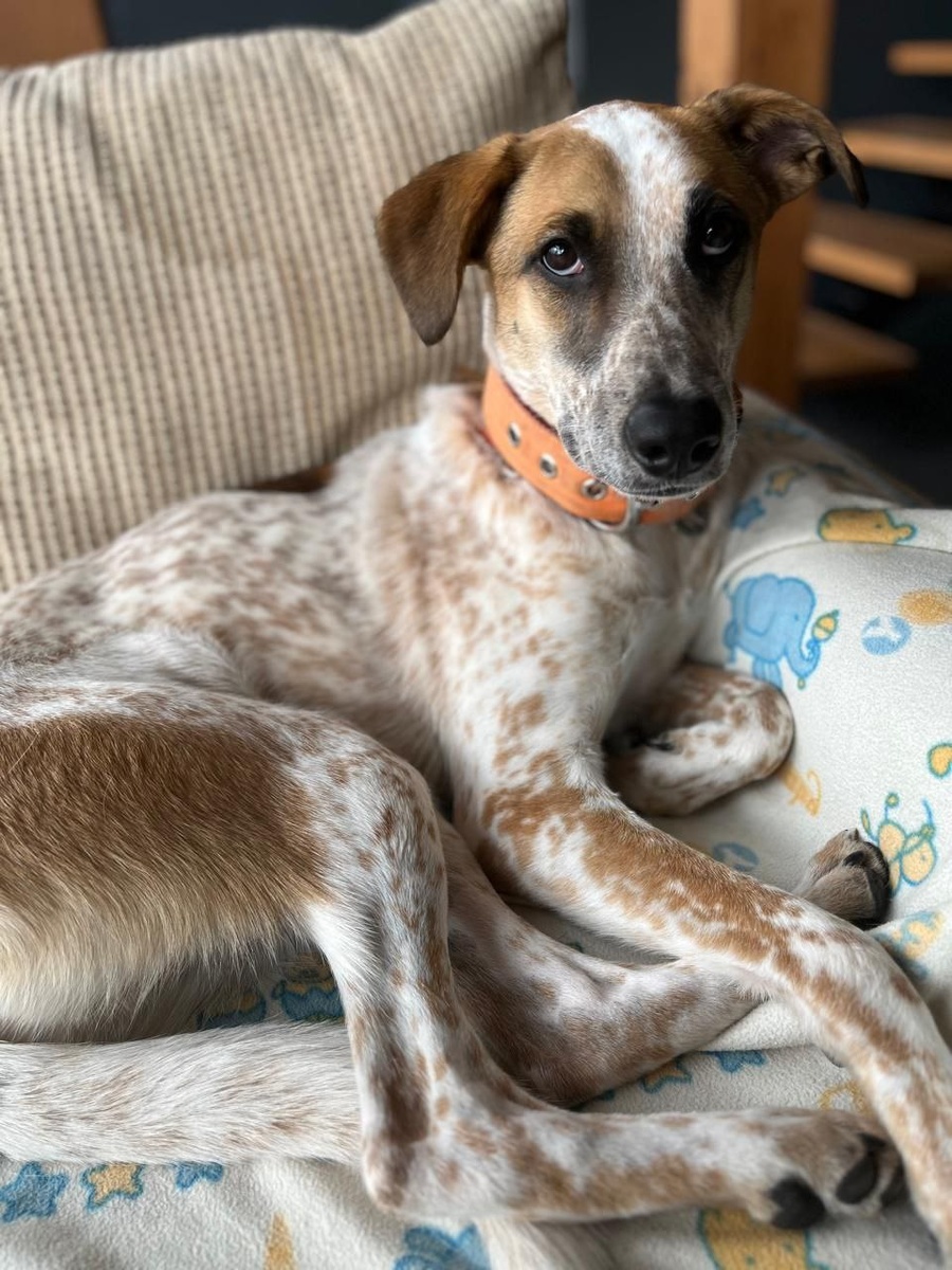 Это уже счастливое фото из дома!