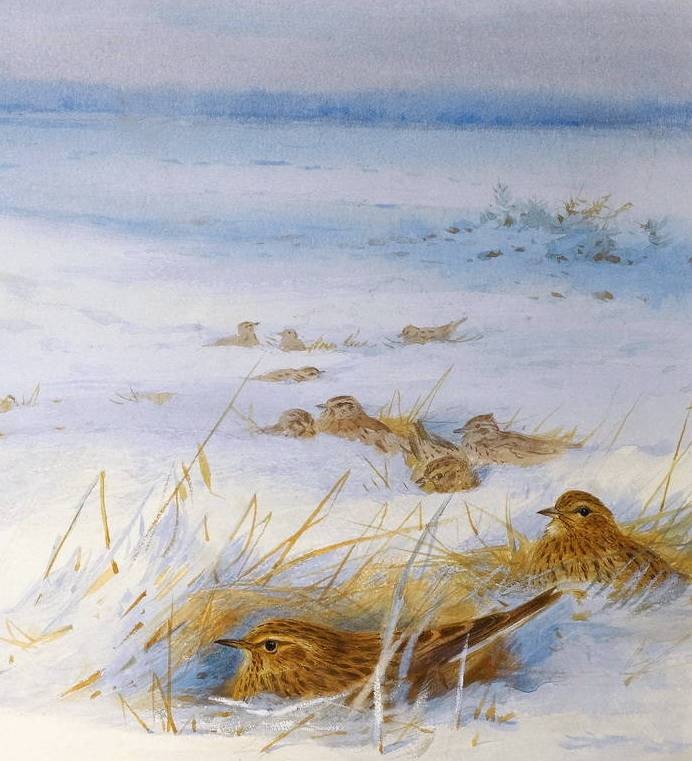 Фрагмент картины британского художника Арчибальд Торберн «Жаворонки». Фото картины взято из открытых источников 