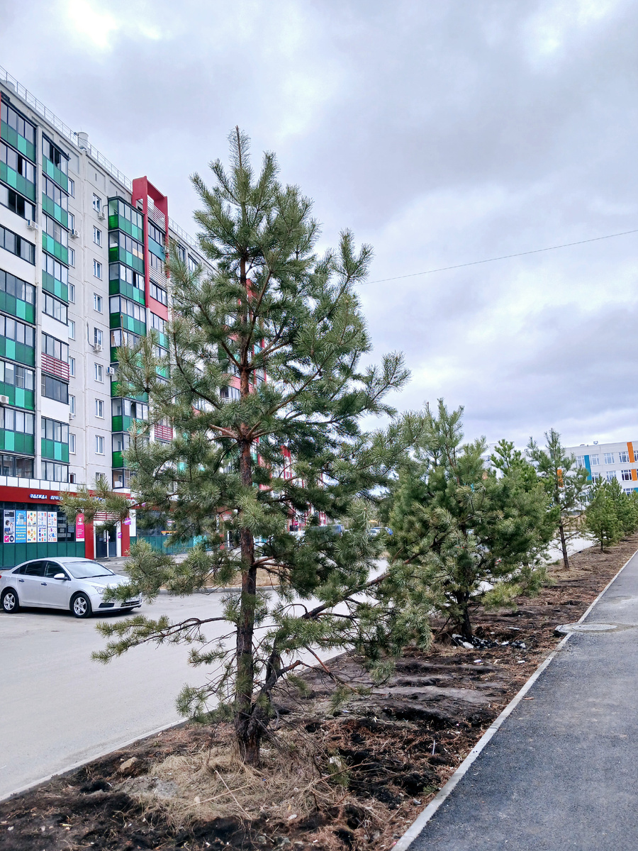 "Доброе утро, мир! Ты прекрасен!" Фото автора