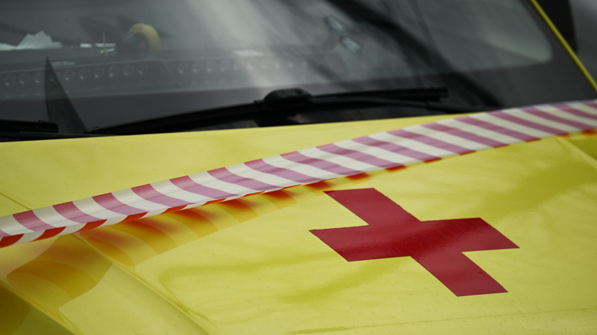    Фото: © РИА Новости/Пелагия Тихонова