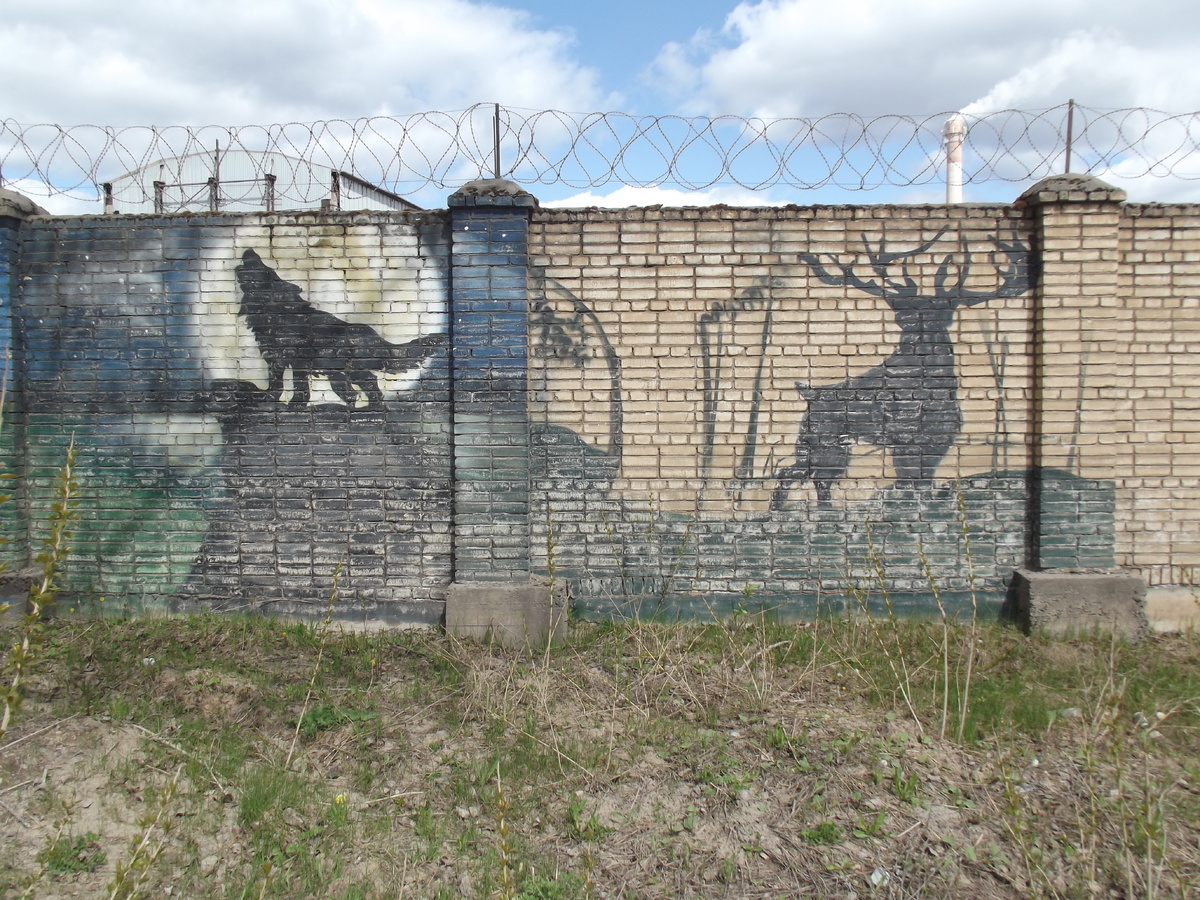 Граффити, Пикалёво.