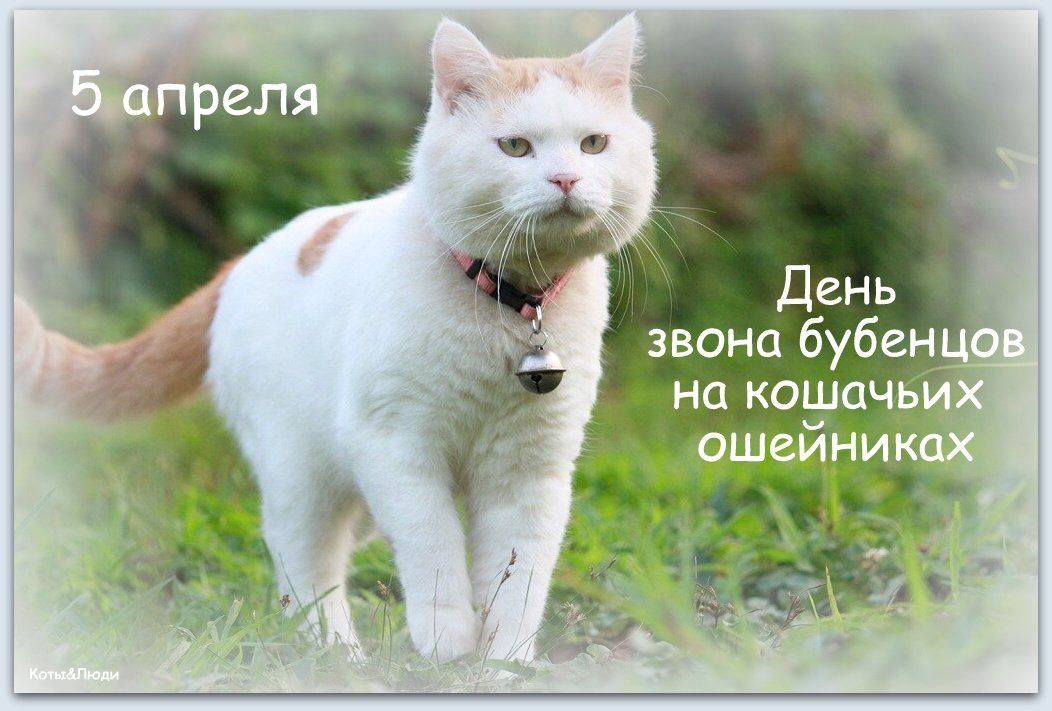 Коллаж автора