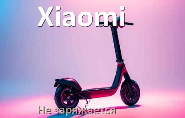 
Почему электросамокат Xiaomi не заряжается