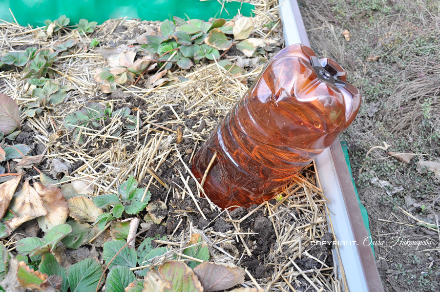 На 1 кв. метр ставлю несколько бутылок (от двух до 4).