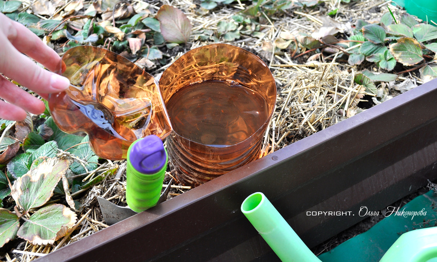 Капельный полив своими руками из 2 - х литровых пластиковых бутылок. Просто и дешево.