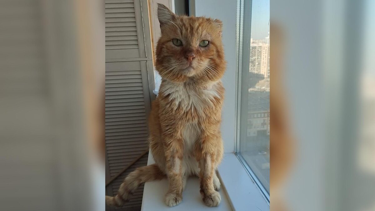    Фото: vk.com/club210437013