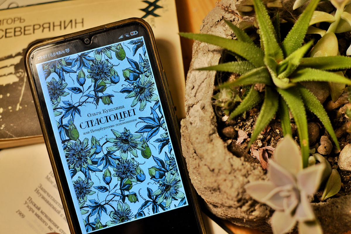 Судя по фотографиям в интернет-магазинах, это тот случай, когда при чтении с телефона теряешь немаленькую часть удовольствия: книга великолепно оформлена