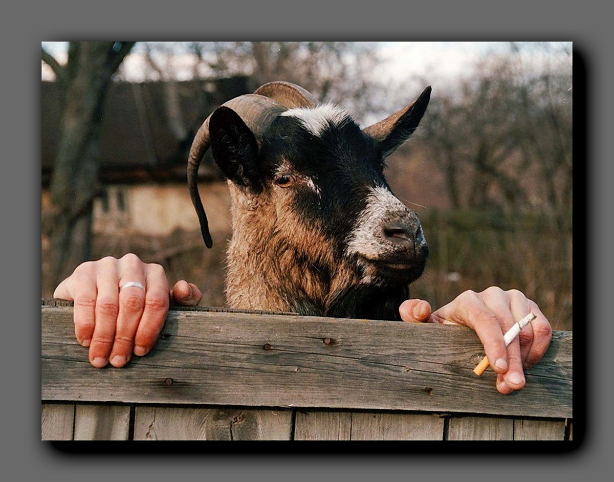 Картинка из открытых источников