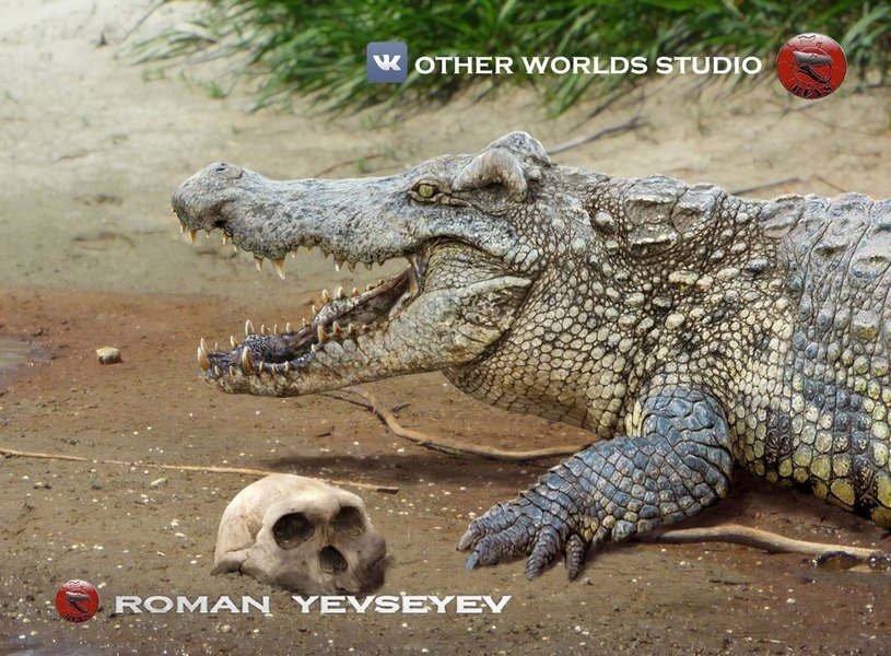 Реконструкция Романа Евсеева