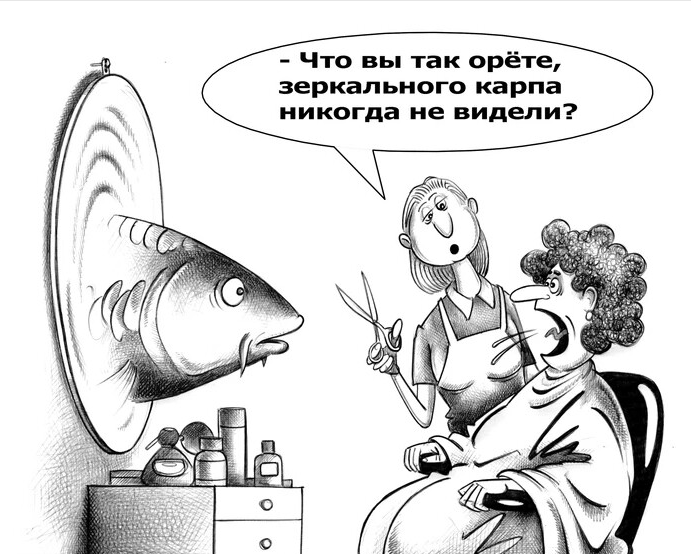 Источник Яндекс картинки