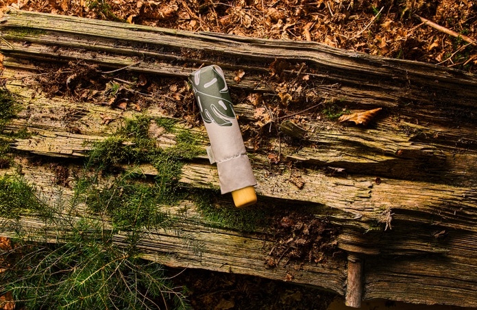 Источник фото - https://goo.su/DLMXj