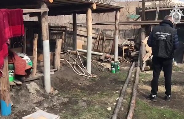 Место убийства школьницы в Ульяновской области. Обложка © Telegram / Следком