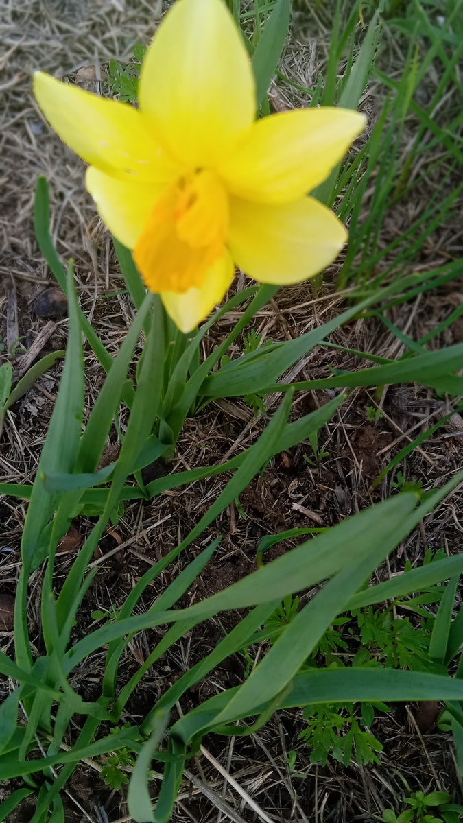 Сильный ветер тут на горе. Мешает фотоохоте моей. 