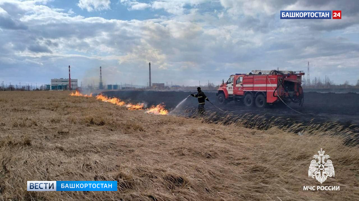    Горящее поле возле садов в Сибае сняли на видео в Башкортостане