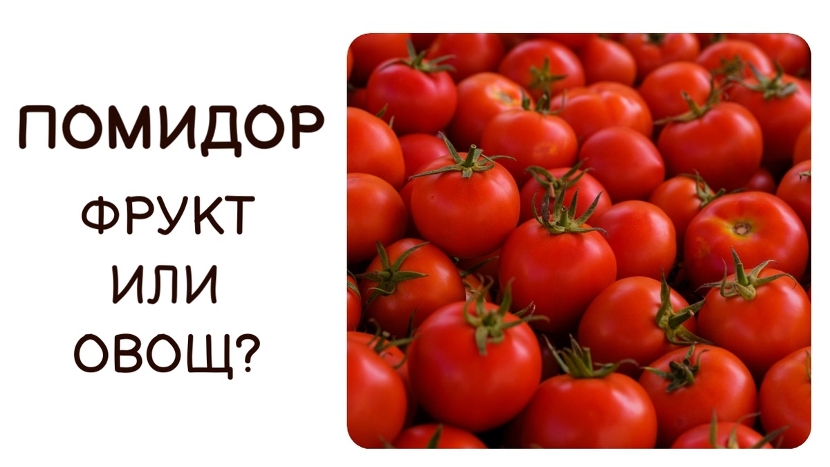 ПОМИДОР ФРУКТ ИЛИ ОВОЩ