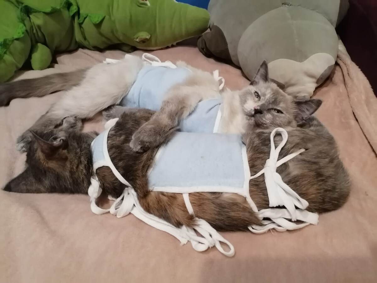 последние дни в попонках. фото автора 