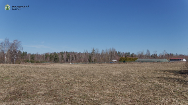 Фото: администрация Тосненского района