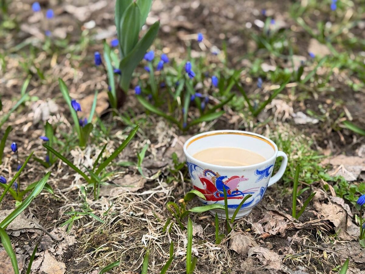 Весенние первоцветы и утренняя чашечка кофе 💙