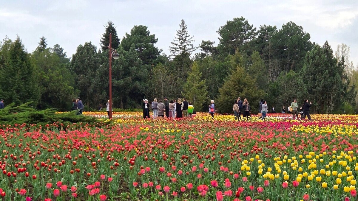     Автор: KubanPress