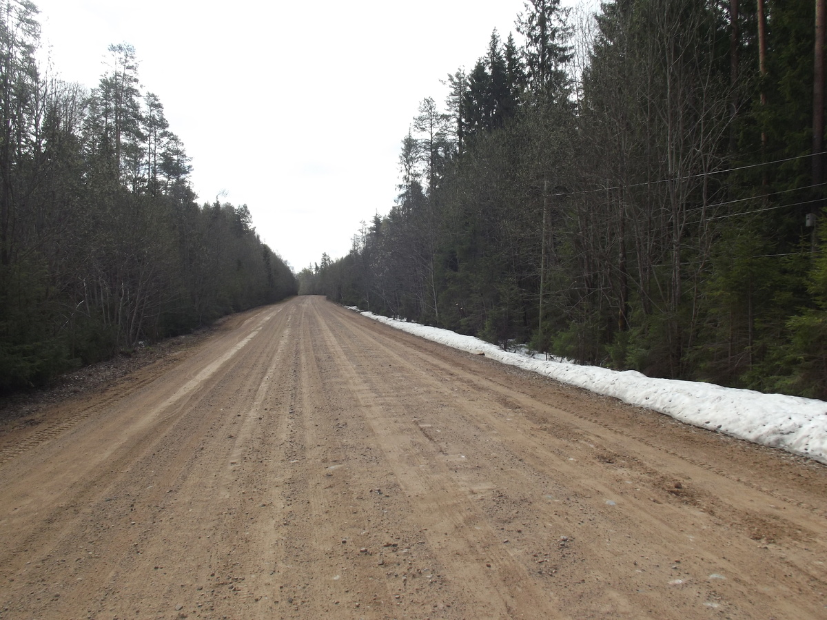 Дорога и мост